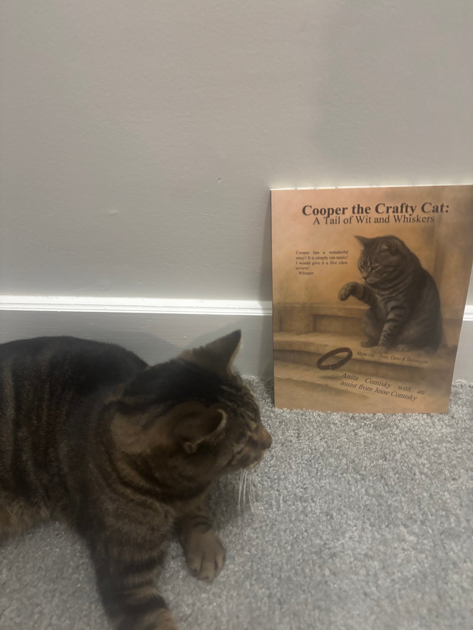 Cooper the Crafty Cat